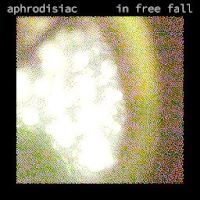 In Free Fall cover